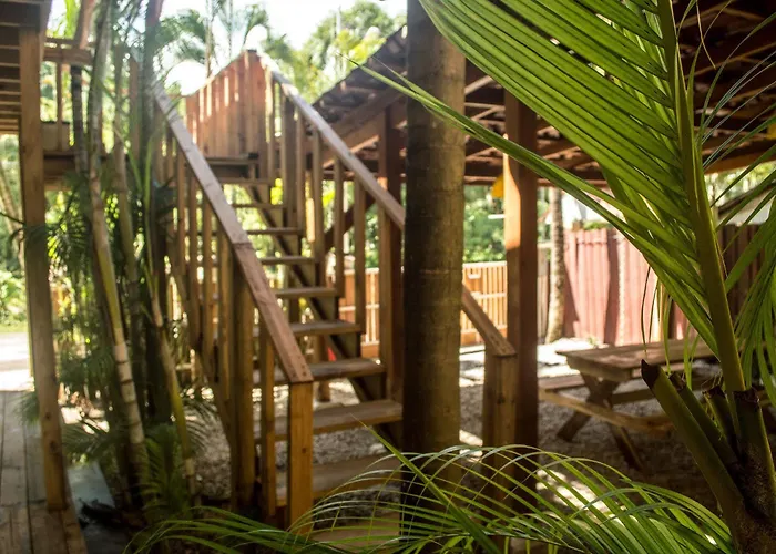 Hotel Dos Monos 2*